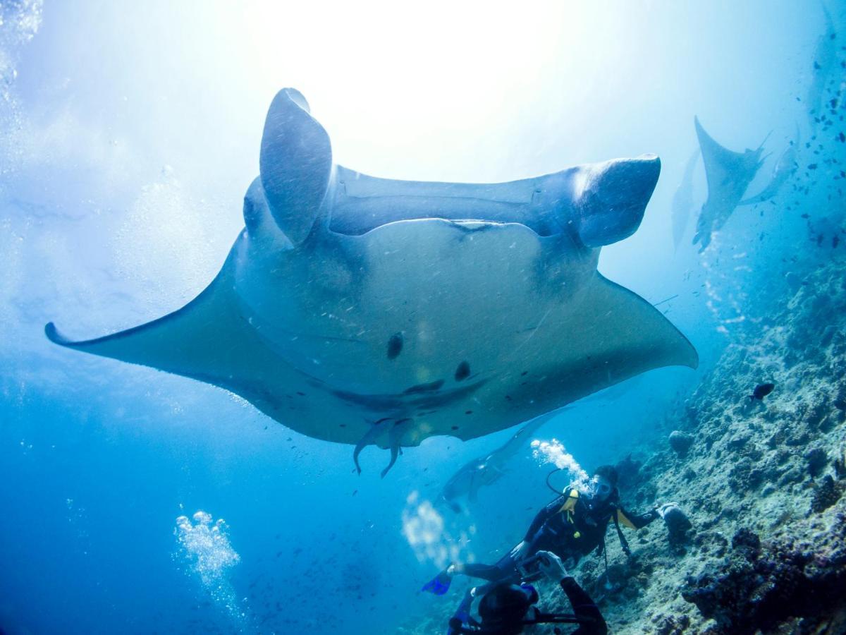Готель Tme Retreats Dhigurah Дігура Екстер'єр фото