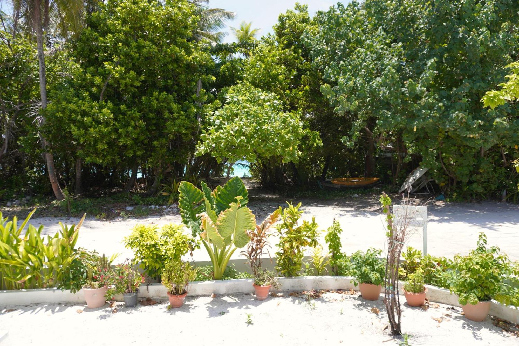 Готель Tme Retreats Dhigurah Дігура Екстер'єр фото