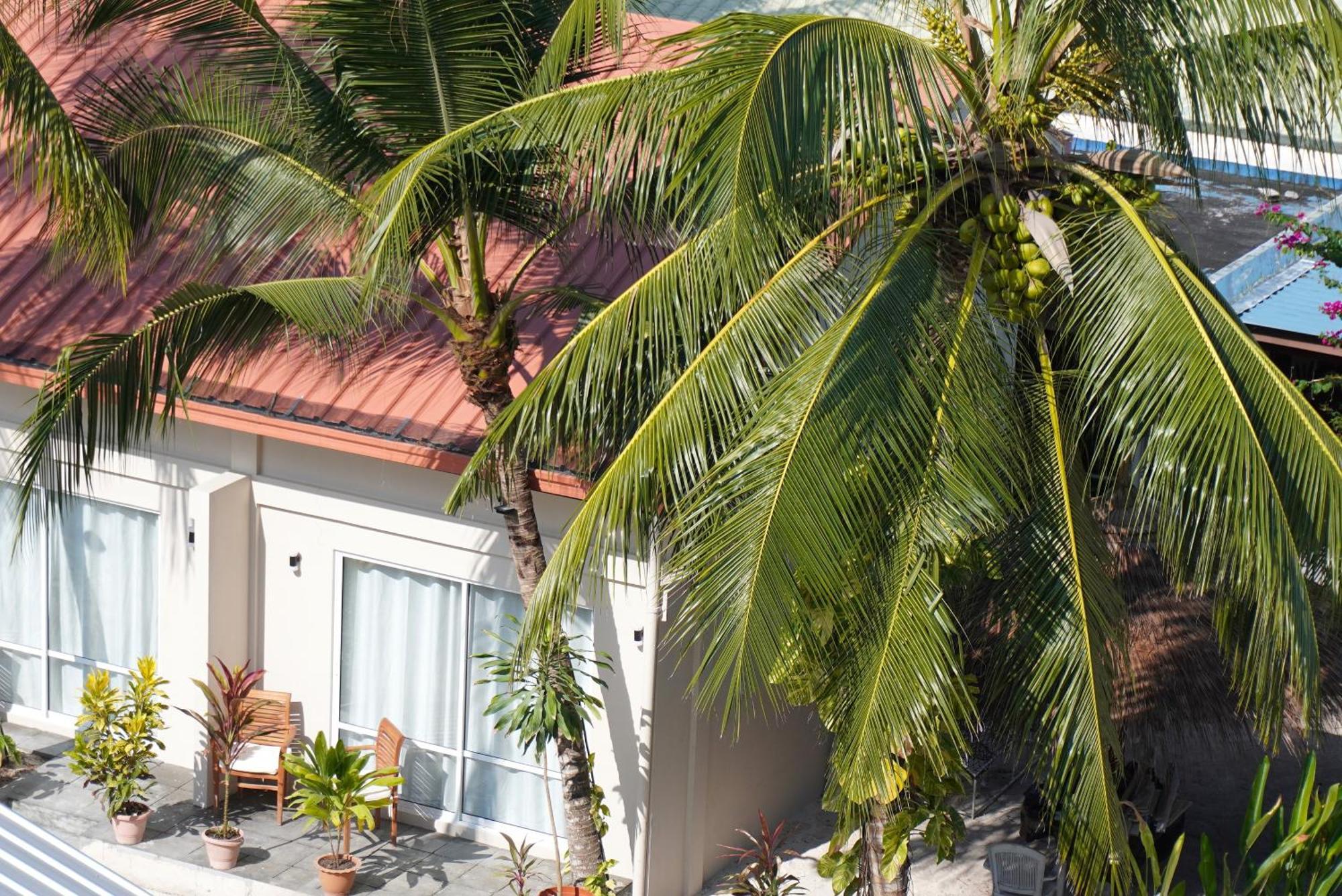 Готель Tme Retreats Dhigurah Дігура Екстер'єр фото
